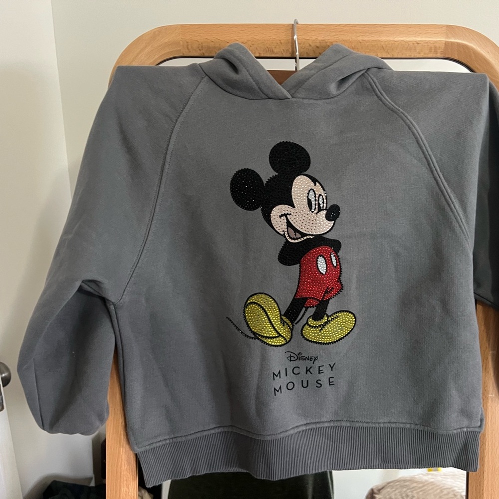 Zara Gray fleece Hoodie